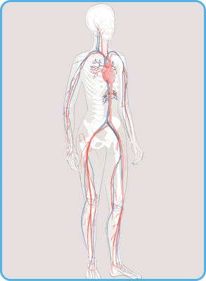 Vascular treatments